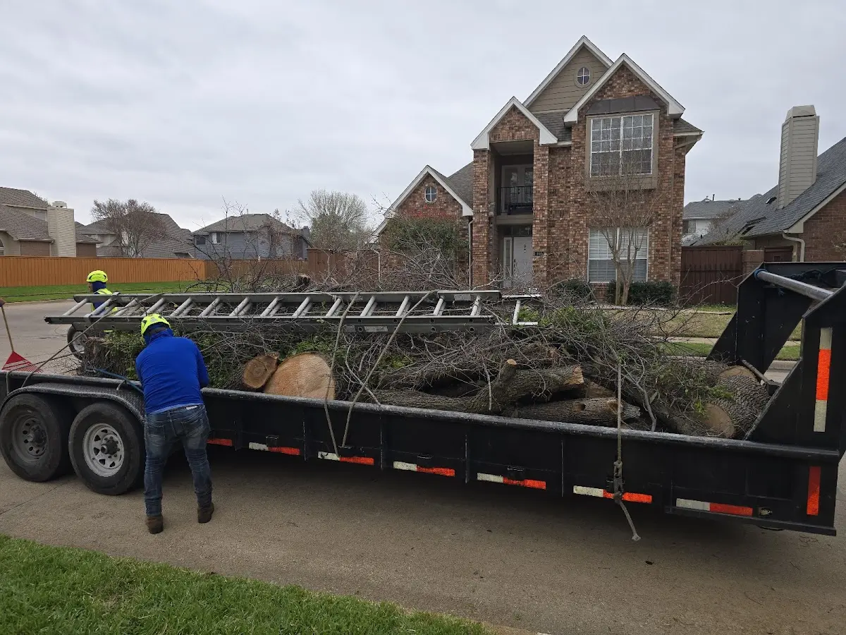 Expert Crown Reduction with proper safety equipment in Jacksboro